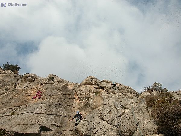 Encima de tod revoloteava una impresionante nuve degaviotas.. aunque en la foto se aprecia poco