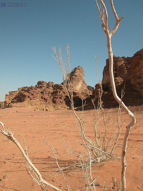 Wadi Rum