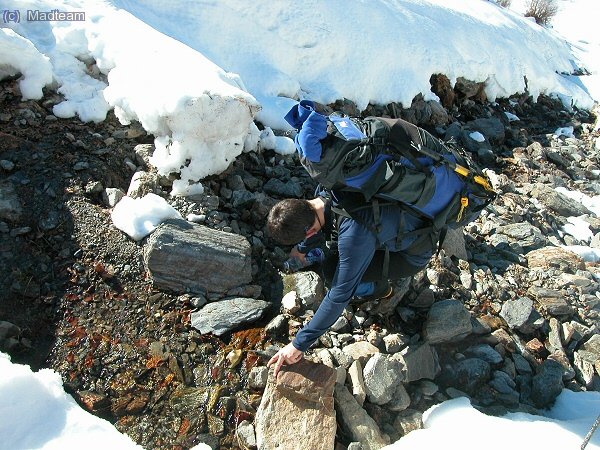 Dave haciendo acopio de reservas de agua