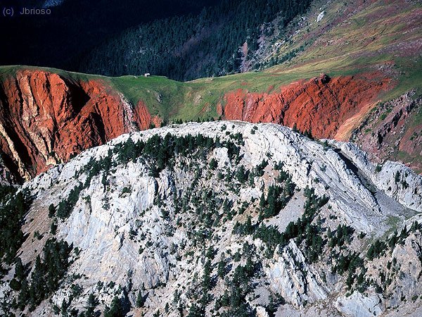 Cae la tarde sobre la selva de Oza. Descendiendo de Peña Agüerri