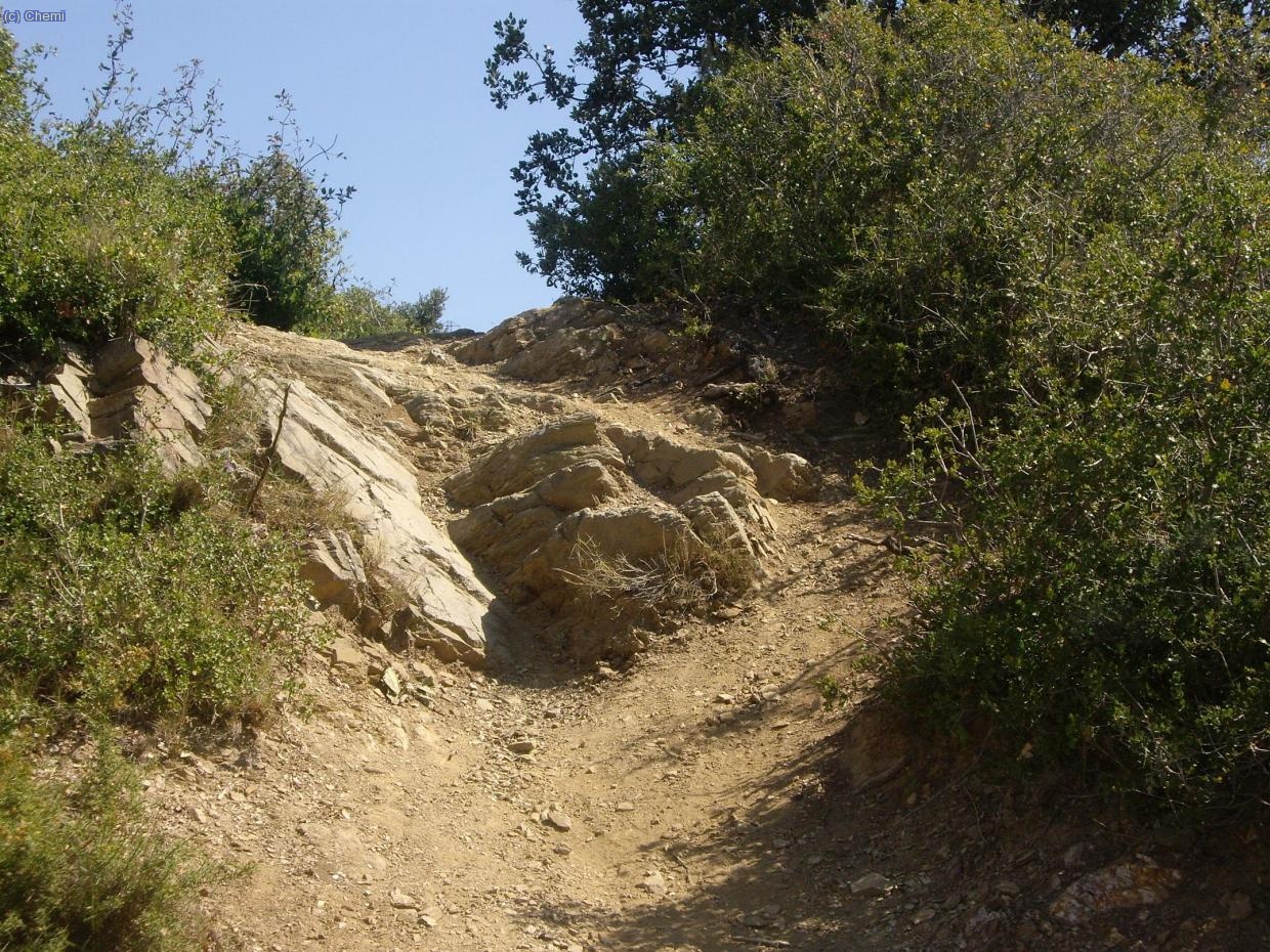 Uno de los múltiples escalones naturales de las trialeras que bajamos.