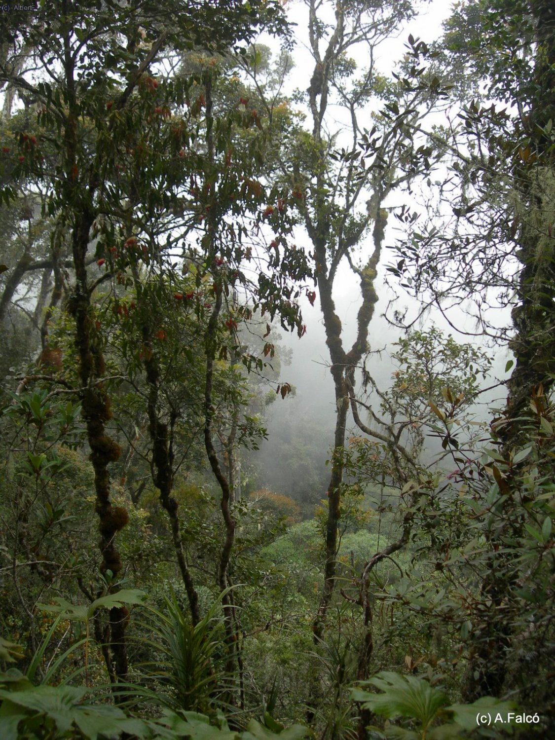 Camí entre els pos2 i el pos3