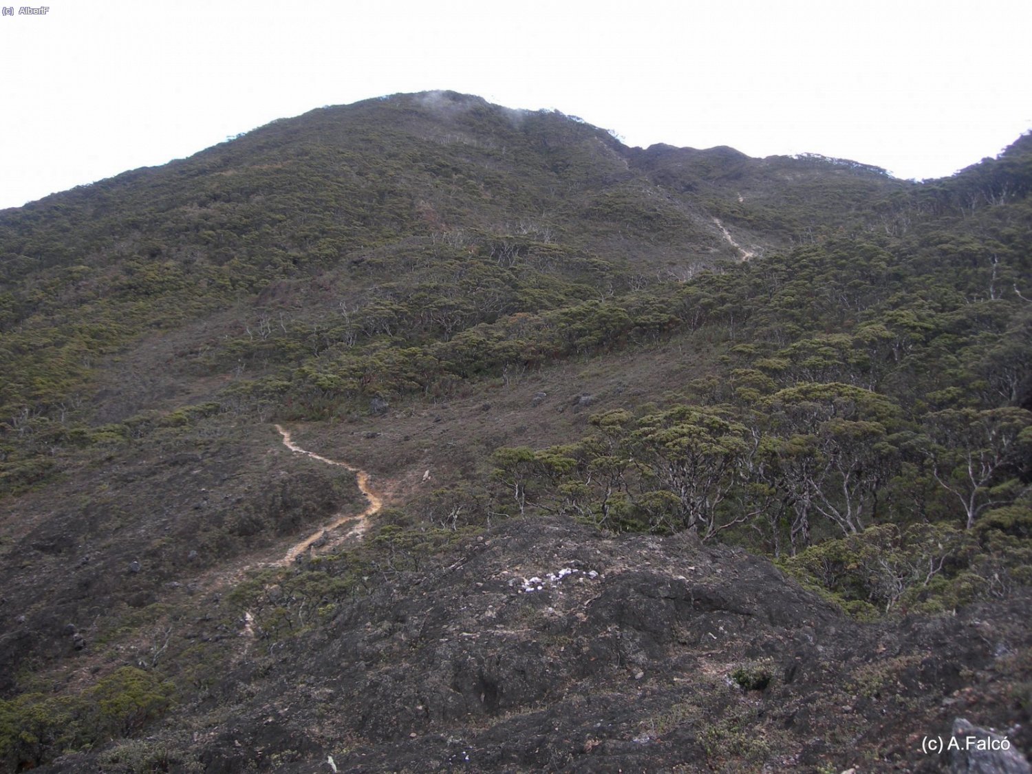 Segon dia, superat el bosc i mirant cap al cim del Rantemario