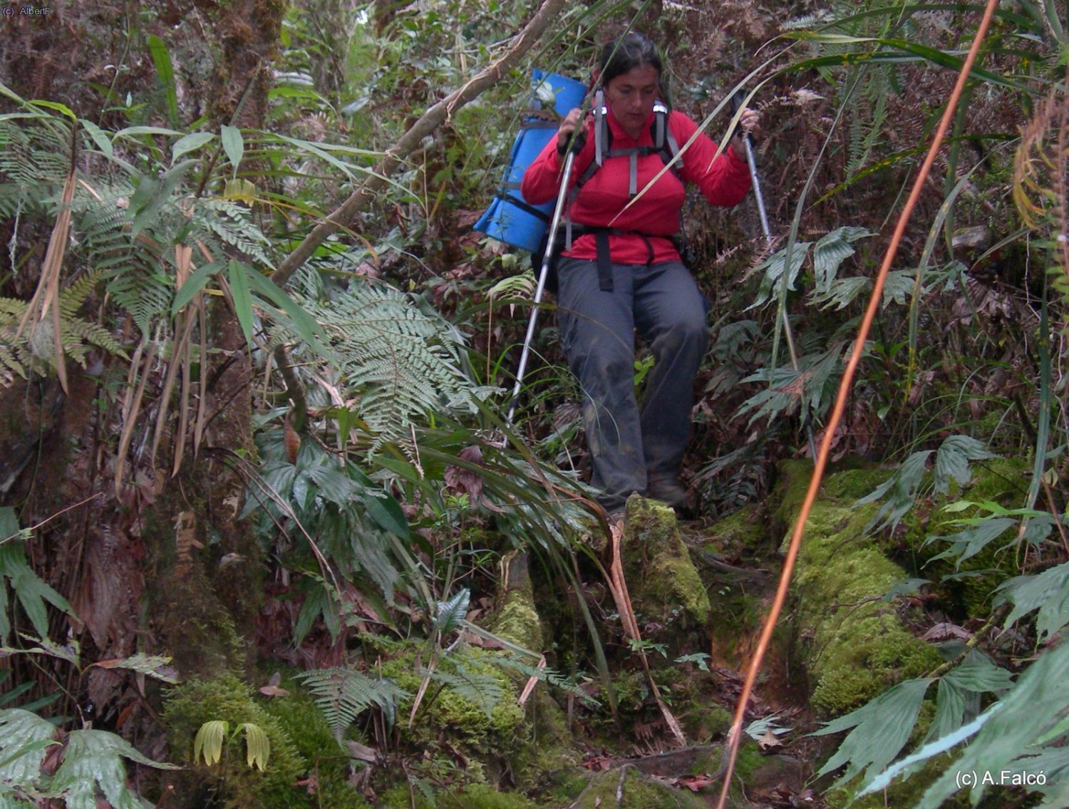 La baixada és encara més complicada per la humitat del camí