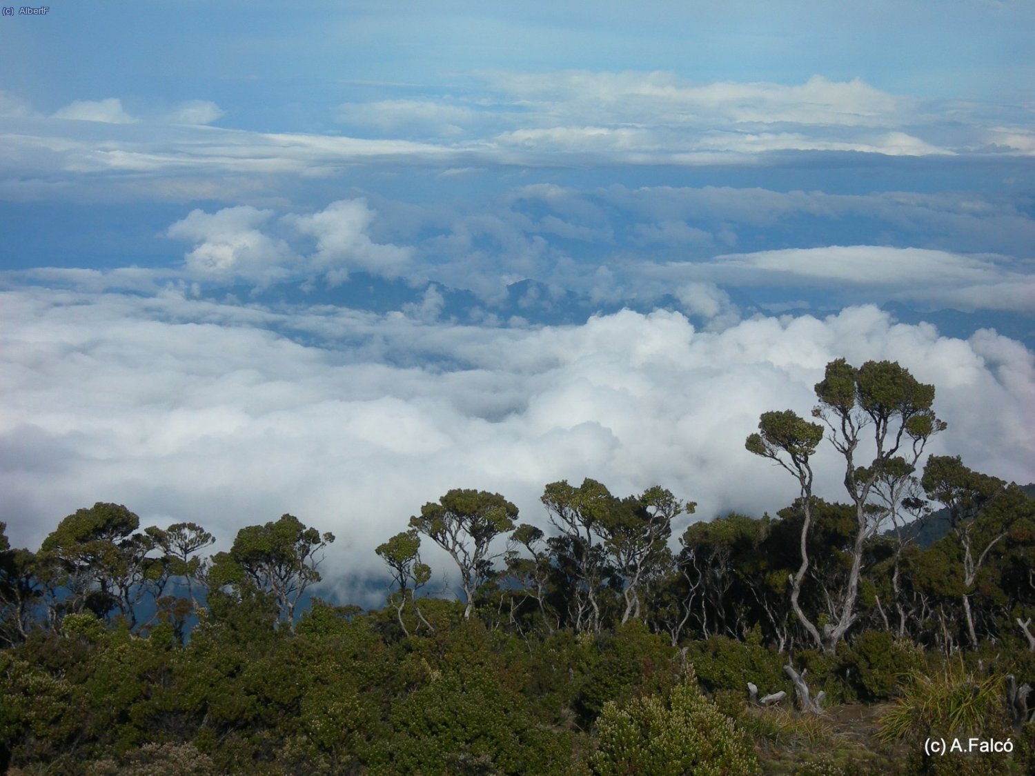 Vista des del Pos7