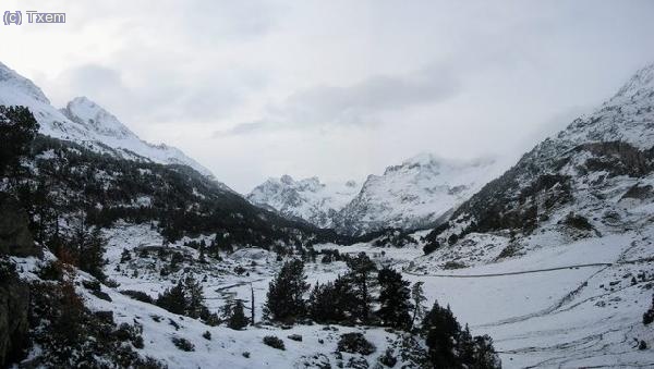 Perdiguero desde la Besurta