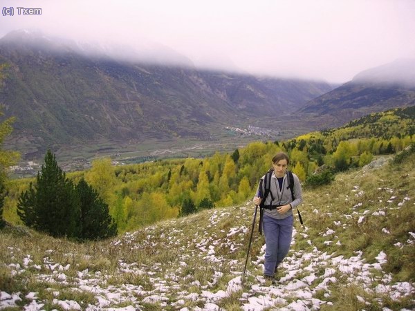 Subiendo por el bosque de la Tuasa