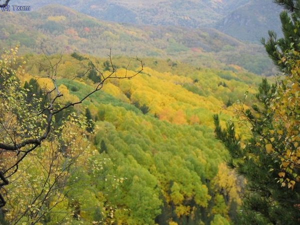 bosque de la Tuasa