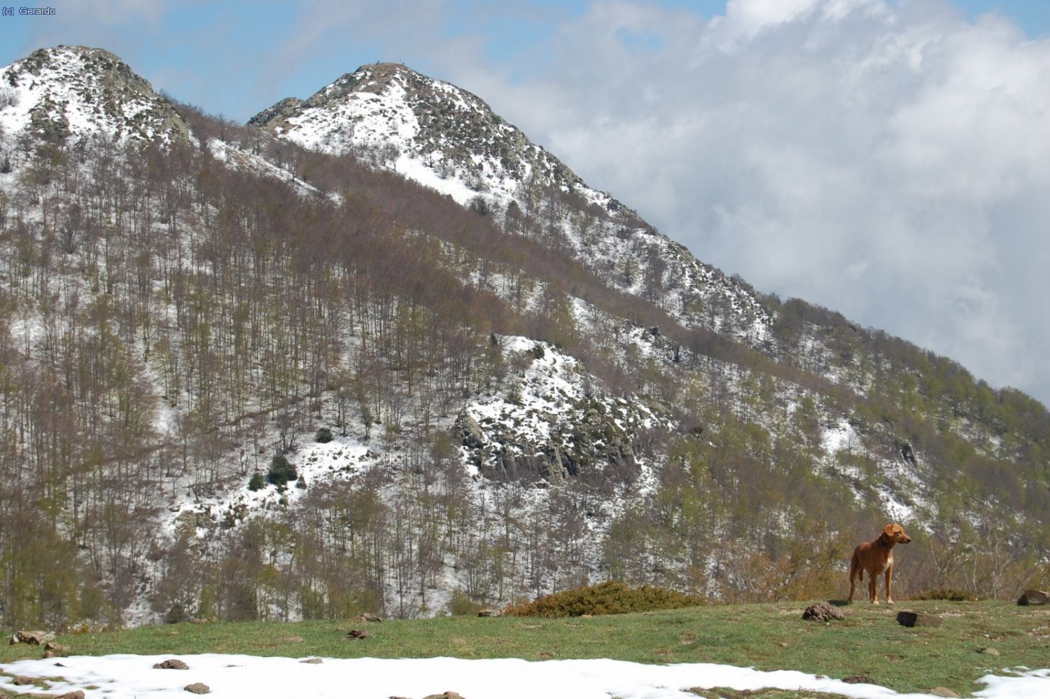 I baixem per corriols i pistes desertes pel fons del clot de Passavets...