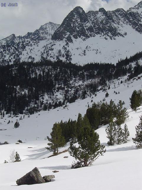 Camino al pla de Boet