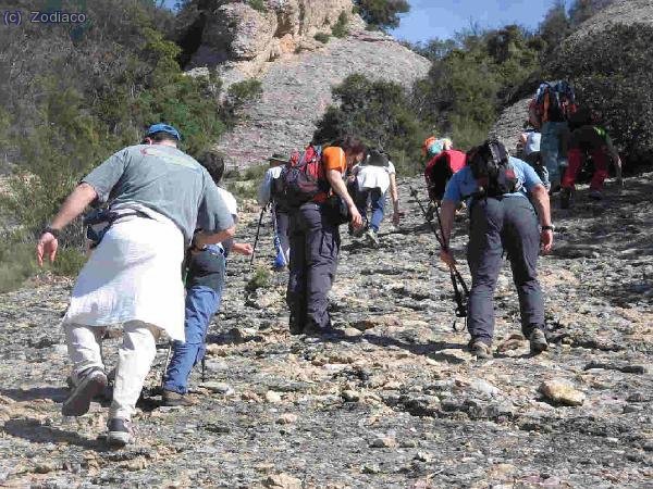 la marabunda. El Montgros no ha podido resistirse