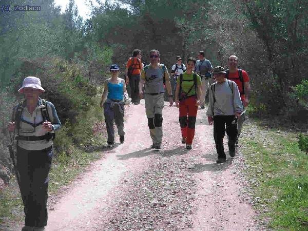 el grupo llegando a los coches