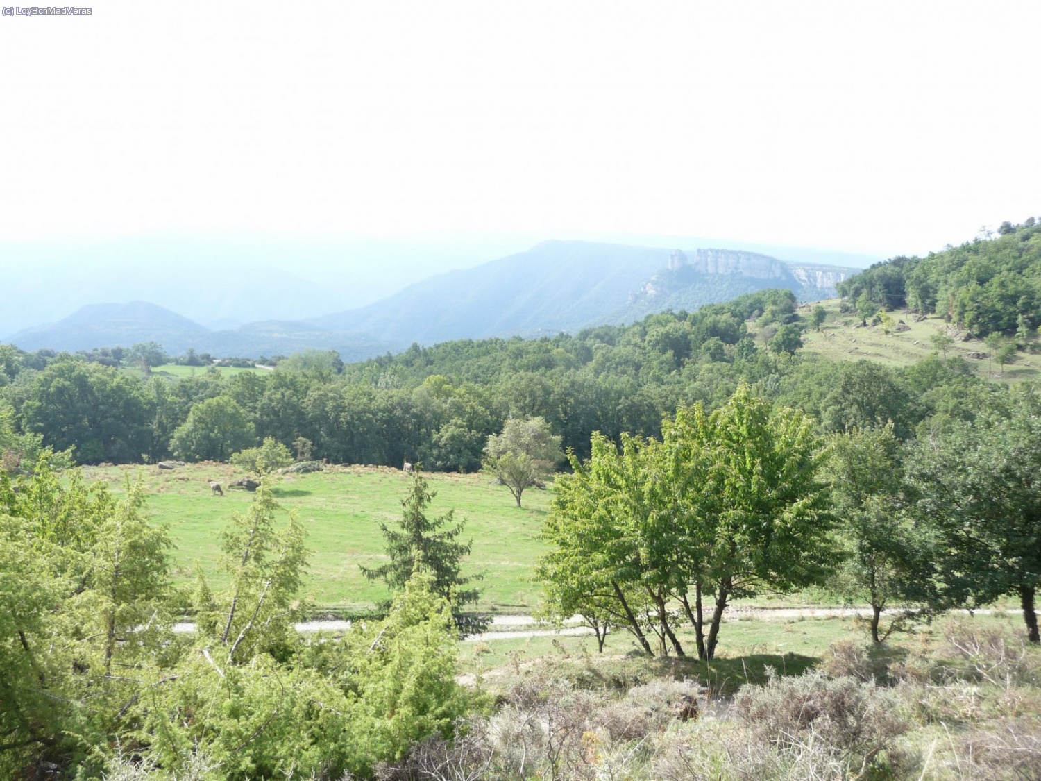 Salimos del toreente y el paisaje se abre