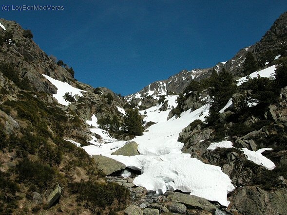 Camino al refu