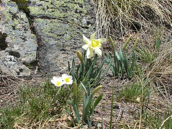 Ya es primavera!!!!