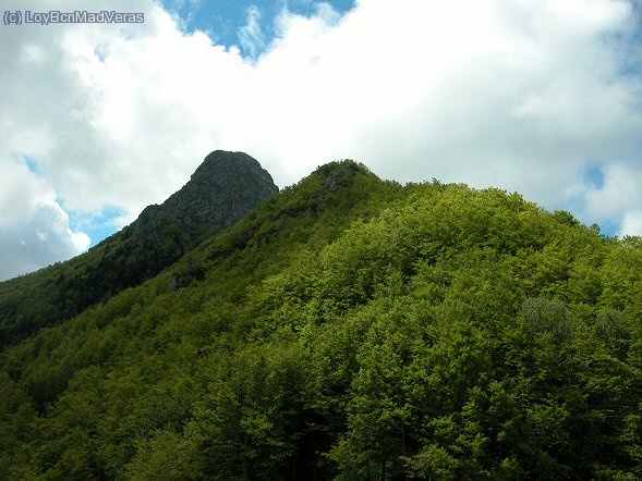 El bosque y las Agudes