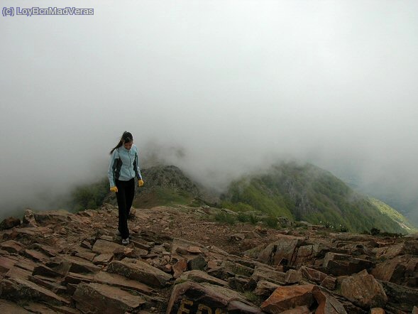 Parece que hay niebla......