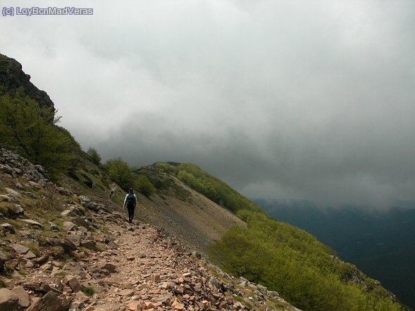 Camino del Turó de l´Home