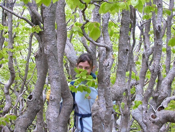 Un duende se ha escapado