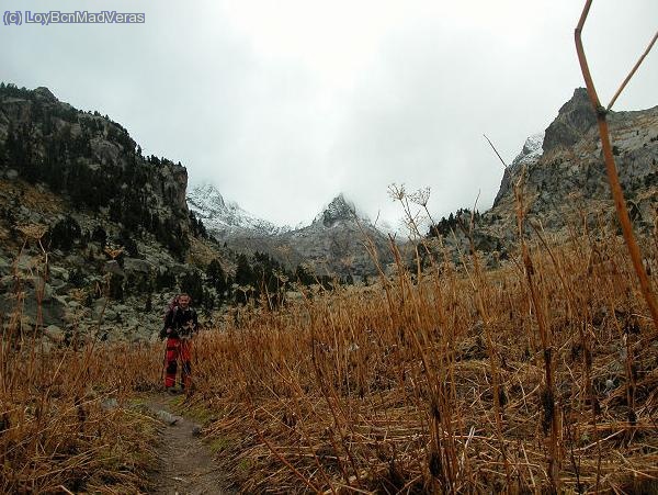 Al fondo el collado de Peguera con el palomo encima... MadVeras entre plantitas