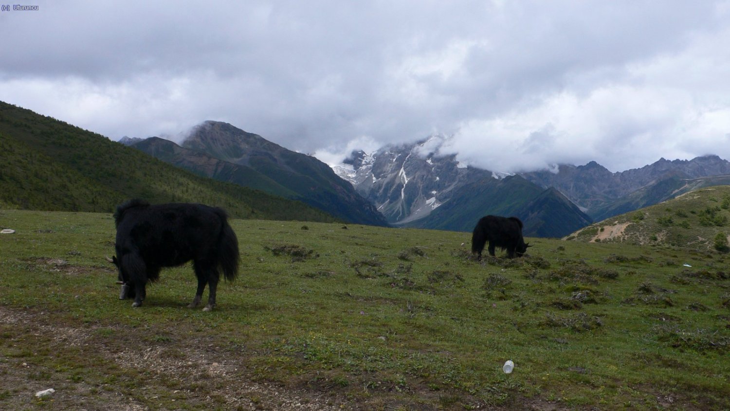 Baima Pass, 4200m, primer paso