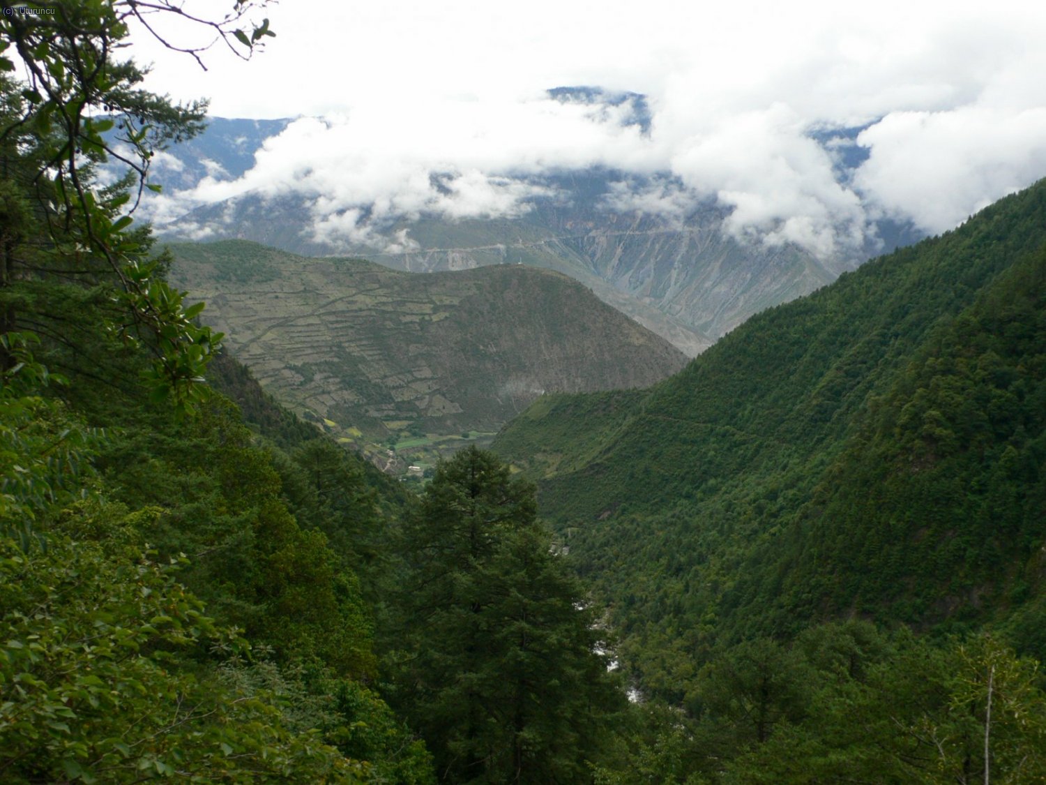 Valle del Mekong, desde el camino de acceso al glaciar de Mingyong