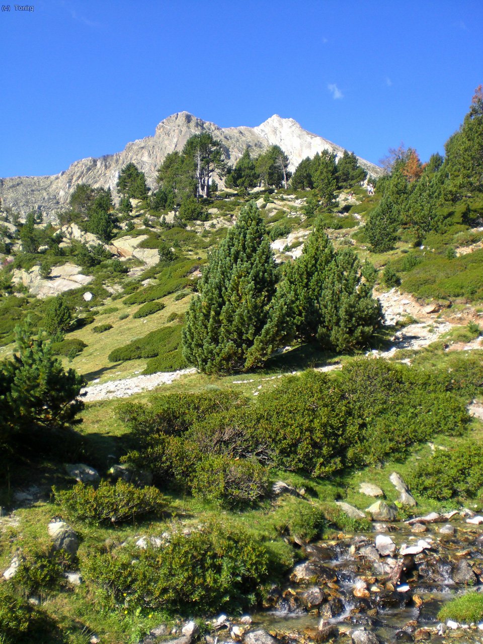 Vistes del Gra de Fajol baixant del refugi.