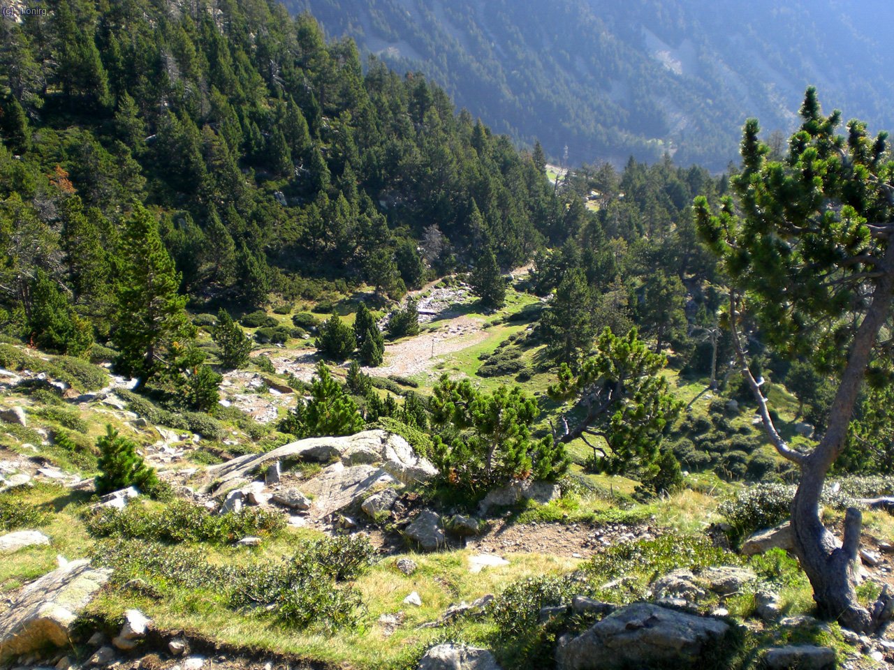 Vistes del camí de baixada des del refugi cap a la carretera de Setcases.