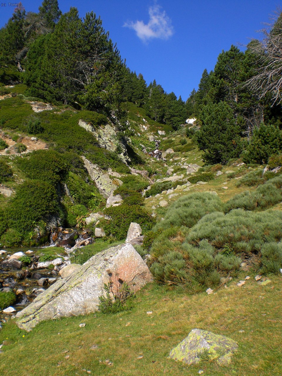 Vistes de la canal per on baixa el Ter, a prop del refugi.